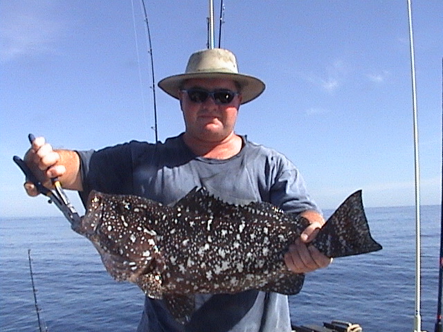 Steve's Rankin Cod